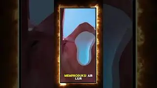 apa fungsi ovula pada mulut kita? #viralshorts #viralvideo #shorts