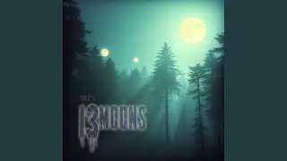 13 Moons