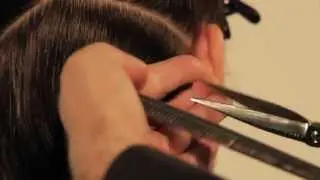 ZELJKO ACADEMY & SUBRINA step by step , color and cut