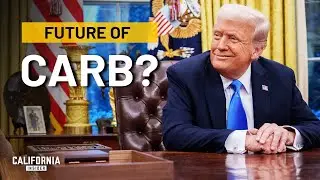 Может ли Трамп отменить строгие стандарты выбросов в Калифорнии? | Сьюзан Шелли