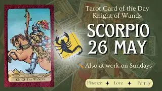 ♏ Scorpio &ndash; May 26, 2025 🛠️ Also at work on Sundays | Tarot Reading