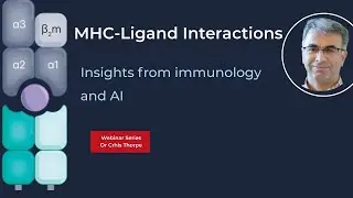 Unravelling T Cell Recognition: Insights from Immunology and AI -- Dr Chris Thorpe