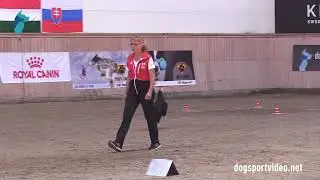 Qualification - Louisa Wibroe + Tending Wagtail/Border Collie - Denmark