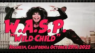 W.A.S.P. 
