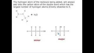 L2 Organic Alkene Markovnikoff's Rule