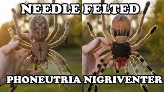Needle felting a brazilian wandering spider - Phoneutria nigriventer
