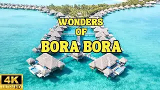 BORA BORA Island - The Most Beautiful Island in FRENCH POLYNESIA