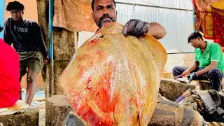 KASIMEDU🔥PUNGA BUTTERFLY 🦋 RAY FISH CUTTING VIDEO | 4K VIDEO | LifeOfFisherman #kasimeduspeedselvam 
