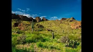 Sonoran Desert Photo Workshop
