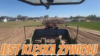 Fatalne warunki do sadzenia, tak sucho jeszcze nigdy nie było !