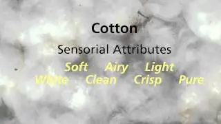 Lipo Chemicals TEXTURE part 2-Cotton