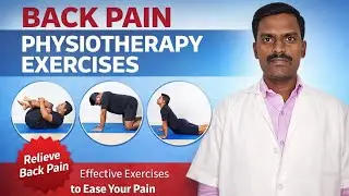 இடுப்புவலி நீங்க பிசியோதெரபி பயிற்சி | Back Pain Physiotherapy Exercise | 10 Easy Back Pain Exercise