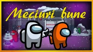 NISTE MECIURI BUNE (Among Us)