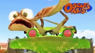 Oscar Gets a NEW CAR! 🚗 | Oscar&rsquo;s Oasis | Funny Cartoons for Kids