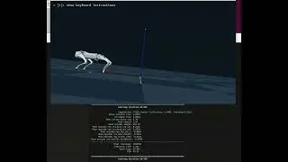 Unitree go2 through reinforcement learning, learns how to walk using Genesis physics simulator