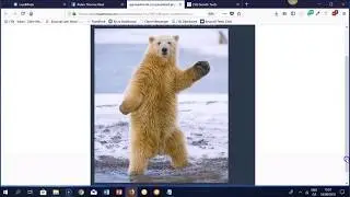 LeadModo Review - LeadModo OTO - Generate FREE FB messenger leads