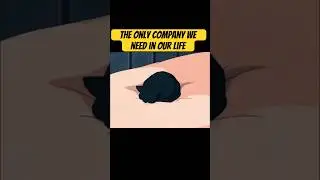 #cat #cats #catlover #catreel #catmusic #catvideos #catshorts #catholic #catowner #memes #funny #yt