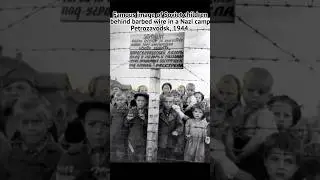 Famous Image of Soviet Children Behind Barbed Wire &mdash; Petrozavodsk, 1944 #history #military