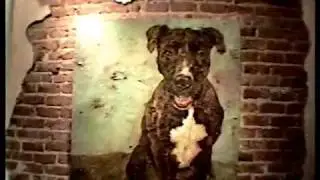 Arizona Art Scene In the 1990's.
