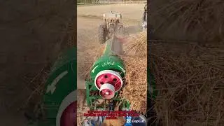 Traditional Wheat Threshing with a Tractor