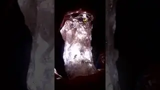 Pink Diamond