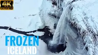 The Most Famous Waterfall in Iceland! Seljalandsfoss - A Frozen Winter Paradise - Feb19, 2022