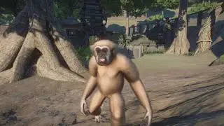 Planet Zoo Tropical Pack: Lar Gibbon