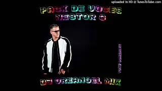 PACK DE VOCES NESTOR G 2021