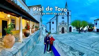 Piel de Toro