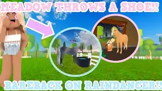 🌼MEADOW THROWS A SHOE✨ + BAREBACK WITH RAINDANCER💙 Roblox Wild Horse Islands RP | Episode 6