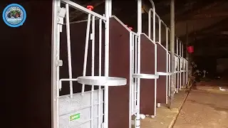 Nieuwe kalverboxen in elkaar zetten | GewoonGurb