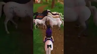 The road of bowing #horses #starstable