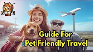 The Ultimate Guide to Pet Friendly Travel ✈️🐶