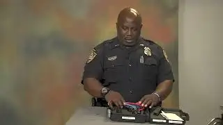 Gun locks