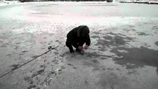 DSCF0204.avi
