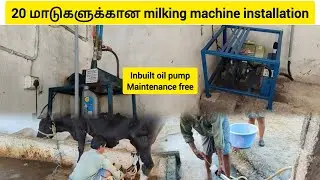 பெரிய பண்ணைக்கு ஏற்ற சிறந்த மில்கிங் மெஷின் mkzagri 9994990688