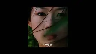 The spring that is about to arrive#movie #spring