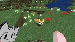 It's a fennec fox