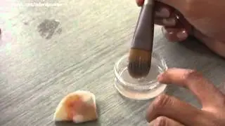 Quick Tips 2 - Brush Cleaning