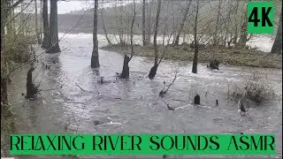 Relaxing River Sounds/ASMR/4K/Real Sights and Sounds/Oklahoma