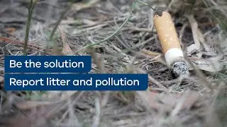 Cigarette litter - Be the solution. Report litter and pollution.