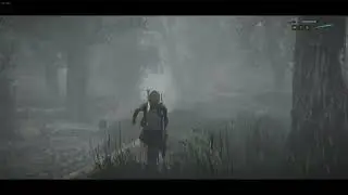 FO4 - 3rd Person Animations - Female Run V2