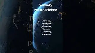 Unlocking Cross-Modal Perception: Exploring Synesthesia and Neural Processing Pathways