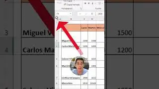 Como autoajustar las Columnas y Filas como un DIOS en Excel #excel #eltiotech