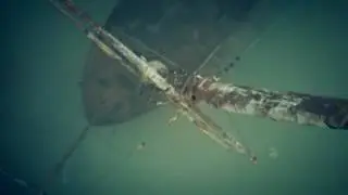 The Wreck of La Grand Hermine