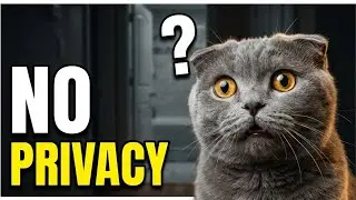 Why Your Cat Won’t Let You Use the Bathroom Alone (5 Real Reasons)