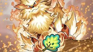 Mirror Herb Made Arcanine Good Again | VGC Reg H