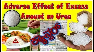 The Side Effects of Urea Tires : Threat to mankind #shorts
