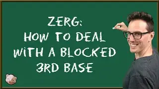 StarCraft 2 Coaching | Zerg: How to Deal with a Blocked 3rd Base