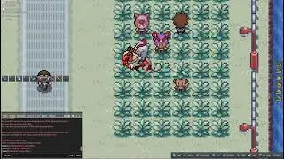 PokeMMO - Shiny Doduo SIngle Encoutner (3081 encountours?) The Streak Goes On .